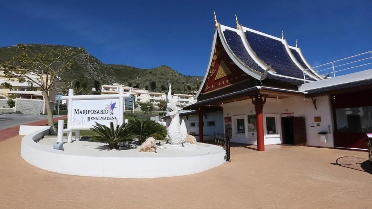 Vive Benalmadena Estudio Benal Beach 1-02 Frontal Al Mar Apartment